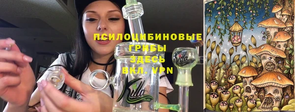 прущая мука Верхний Тагил