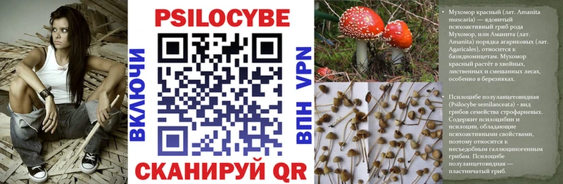Псилоцибиновые грибы прущие грибы Бийск